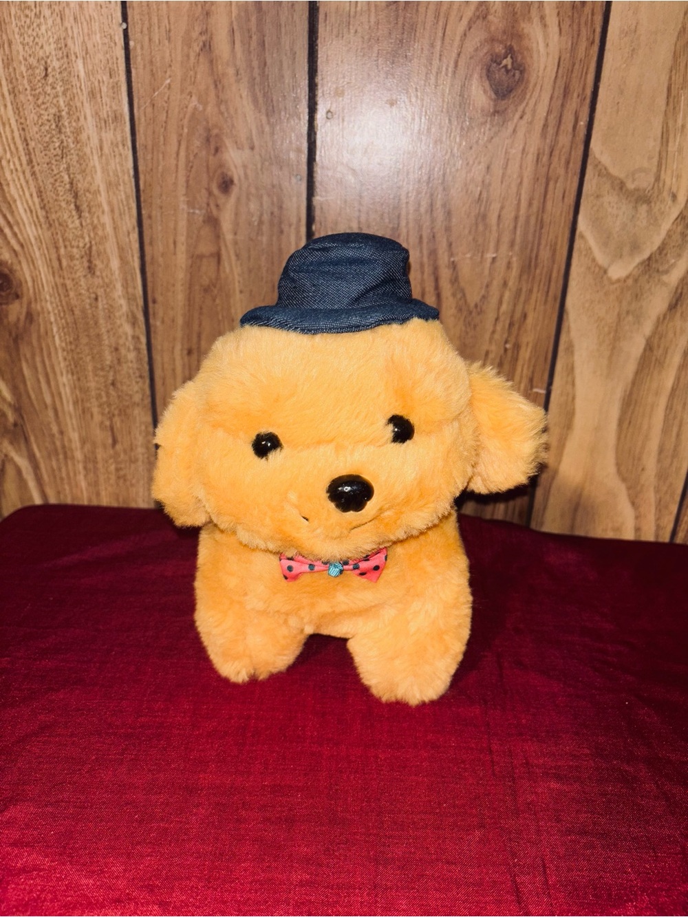JHWH puppy with a hat—a beautiful plush toy.